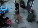 Me Hond hahaha om bang van te worden:P