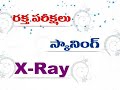 Vijayawada, Andhra Pradesh, India : Sneha Diagnostics Centre