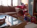 Video 2