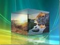 Play DivX Movies and more in Windows Vista
