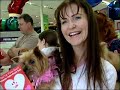 PETCO Valentine's Pet Party