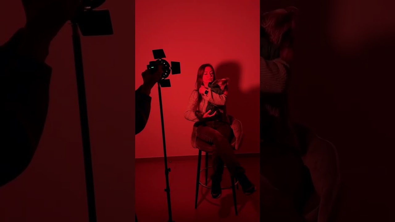 Светодиодный RGB прожектор с направленным потоком света на штативе 2.1м Светодиодный RGB прожектор с направленным потоком света на штативе 2.1м