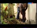 Просмотр видео
