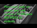 Ativeg - Confinamento, uma prática cruel ( Quiero Vivir ) Ativeg - Confinamento, uma prática cruel ( Quiero Vivir )