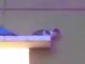 PELIK tapi BENAR PELIK tapi BENAR
