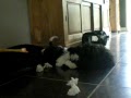 samen spelen