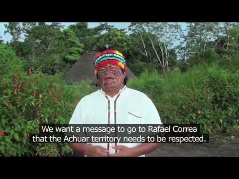 how to help the amazon