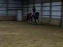 cyra flatting. walk trot canter :)