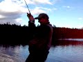 Trout flyfishing, 1,3 kg