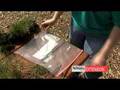 videos de Garden Sampling