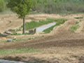 Dirtbiking at Motopark yz 85\