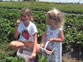 Working the Fields