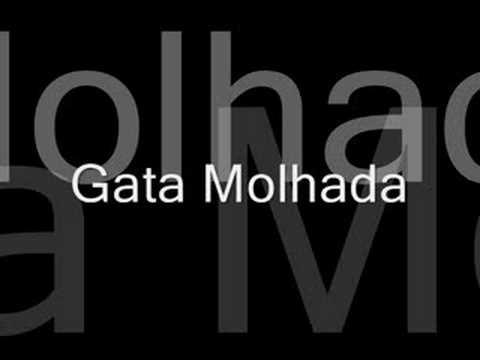 gata molhada