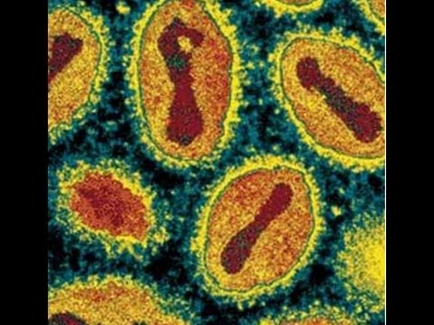 how to treat smallpox