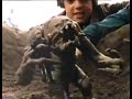 Star Wars Vintage PALITOY Commercial - Rancor Monster Star Wars Vintage PALITOY Commercial - Rancor Monster