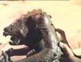 Star Wars Vintage PALITOY Commercial - Rancor Monster