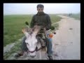 Burro Tuning.... Enchulado ...jajaja