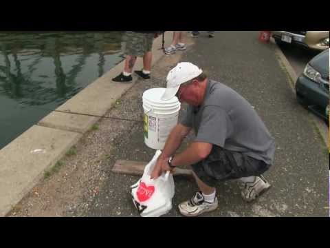 Funny Fishing: My Old Man and the Sea