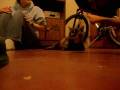 videos de Roll Over Sophie