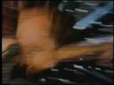 Thee Hypnotics - Harf Man Harf Boy Thee Hypnotics - Harf Man Harf Boy