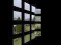 Reisterrasse  Bali 1996 Inonesia Indonesien Kudis