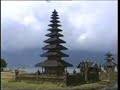 Reisterrasse  Bali 1996 Inonesia Indonesien Kudis