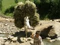 bitlis