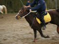 stage pony games 5 drapeaux stage pony games 5 drapeaux