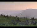 A Blackhawk piloted by me takes a Strela in an adversarial game. As Opfor watches from the hills, anticipating a crash, the helo is recovered, despite missing a tail rotor, and makes a hasty combat landing at an unexpected LZ. Troops then debark and a fierce firefight erupts. Pure epic unscripted ShackTac awesomeness. No sound, unfortunately. The video was filmed by kevb0 on the opfor side.