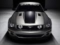 Ford Mustang Tribute
