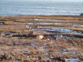 Iceland Winter Road Trip (Jan 08)