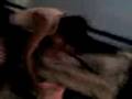 videos de peda en mi ksa!!