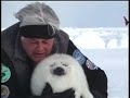 Shepherds of the Seals, narrated by Martin Sheen
