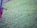videos de 30 seconds to landing