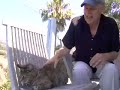 Real Live Talking Cat #1