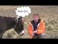 Your Employees Are Not Mules