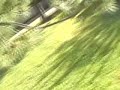 STORYWRITER MV - SUPERCAR