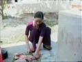 Cooking with the Sun in Vietnam (2)