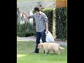 Nick and his Dog- Trip to the vets