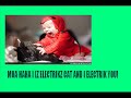 Funny cats compilation
