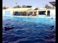 LIFEGUARD TRAINING SAUDI ARAMCO