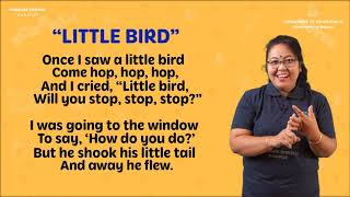 Chapter 1- Little Bird
