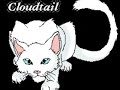 Cloudtail Auditon! Cloudtail Auditon!