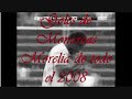 Monarcas Morelia goles 2008