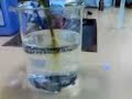 Titration - Iodine and Sodium thiosulphate