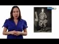 Learn Biology: Classification- Domains