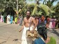 barcza csalad indiaban, 15. resz, pongal fesztival