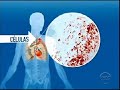 Condiciones Extremas Asi Reacciona Nuestro Cuerpo (Altitud)