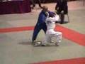 Judo ippon