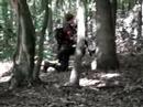 video A.C Kobra...
